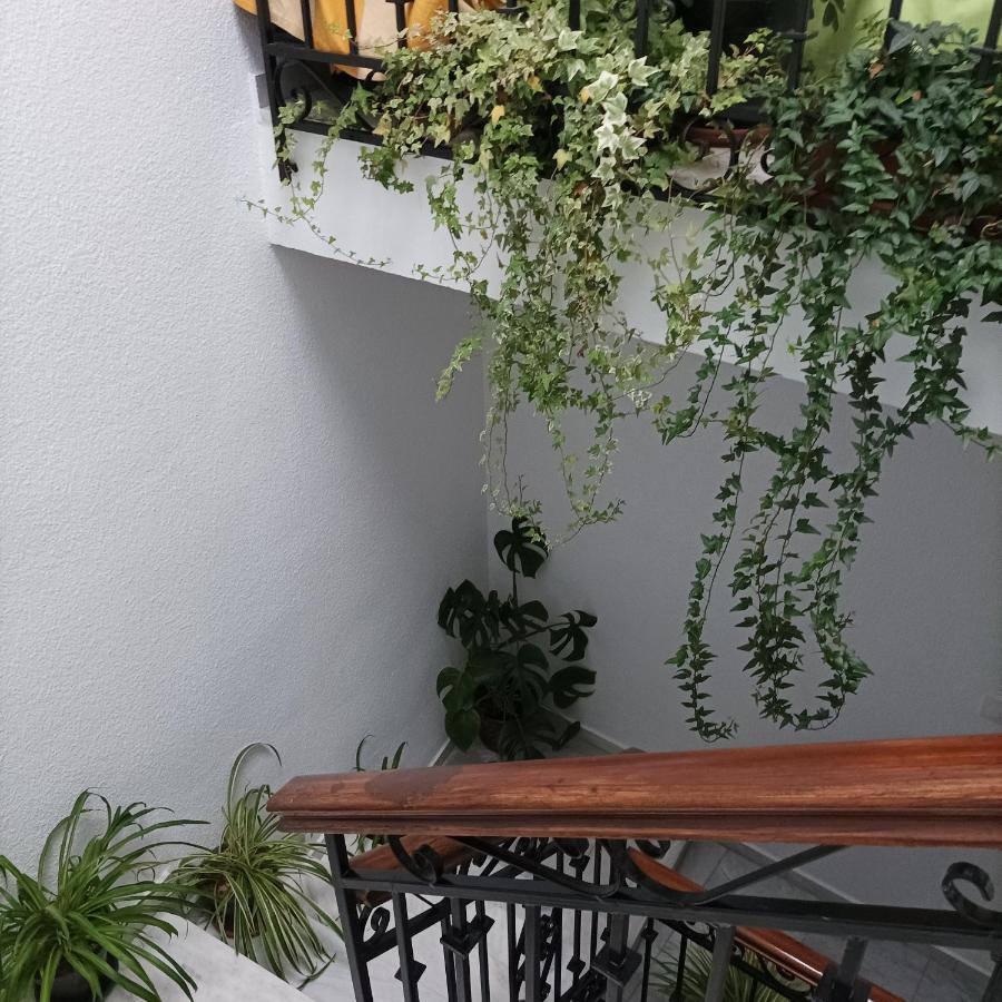 דירות Priego de Córdoba Medina Baguh מראה חיצוני תמונה
